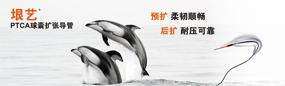 尊龙官方网站?球囊扩张导管(图1)