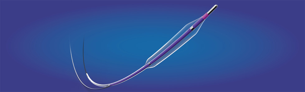 抱鱼?Vffish?颅球囊扩张导管(图1)