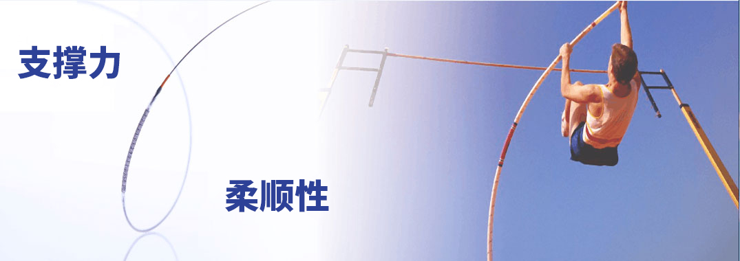 尊龙官方网站?冠状动脉金属支架输送系统(图1)