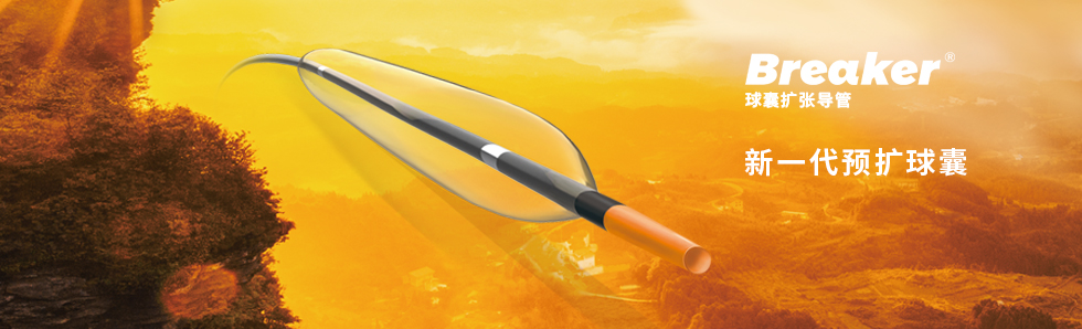Breaker?球囊扩张导管(图1)