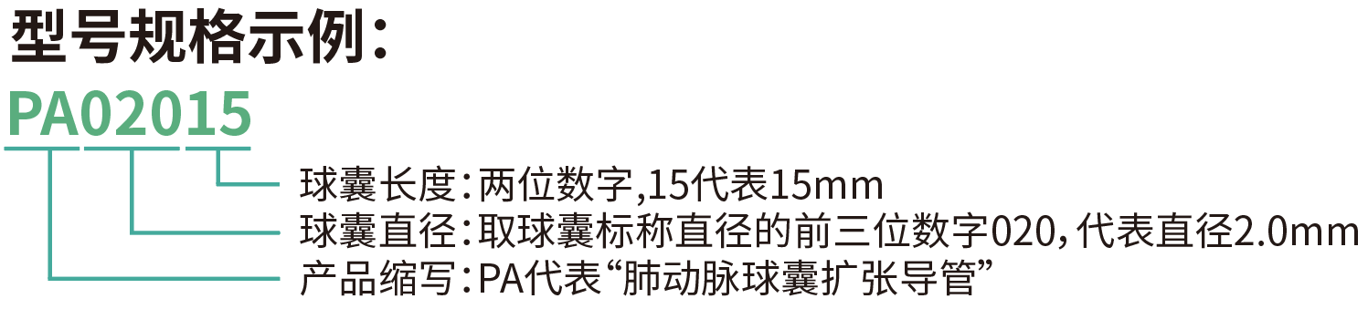 博荷? Bhmintbh 肺动脉球囊扩张导管(图5)